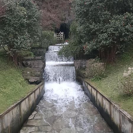 Las Gaviotas Cudillero Dış mekan fotoğraf